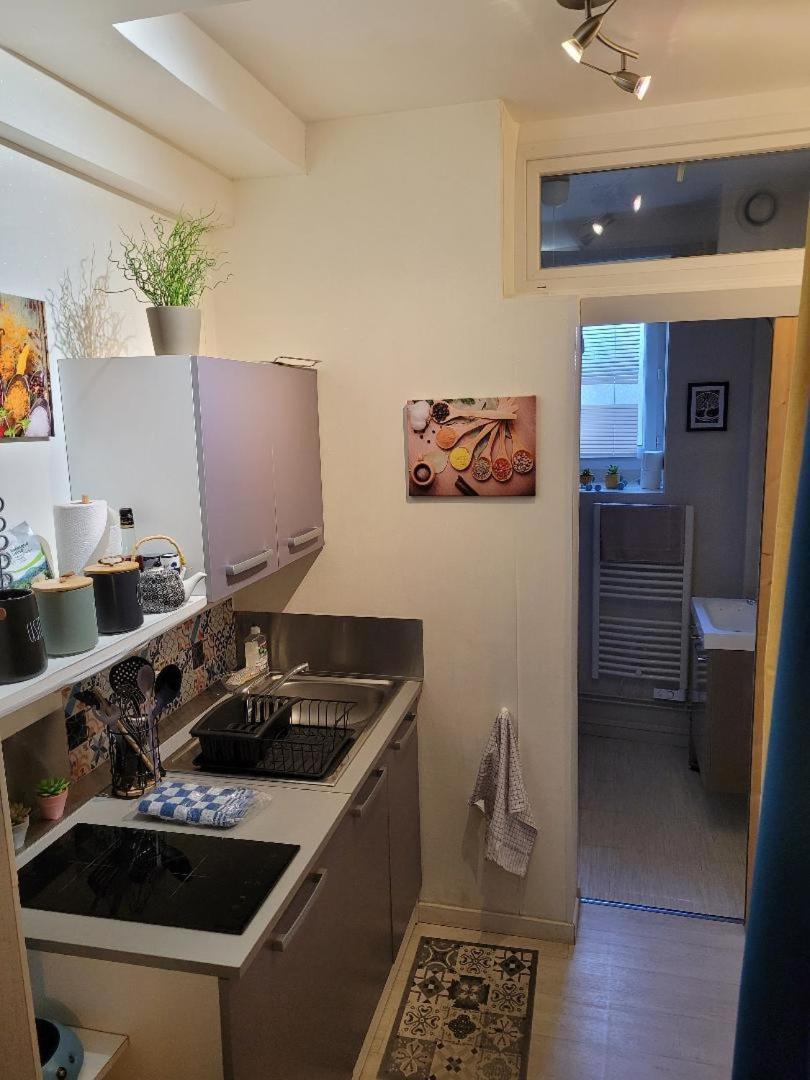 Studio Bourbon Lägenhet La Roche-Posay Exteriör bild